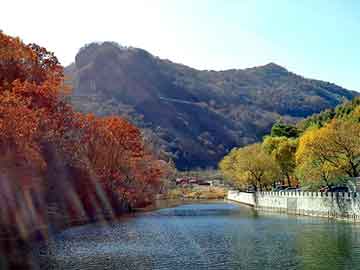 新澳天天开奖资料大全旅游团，北京论文翻译